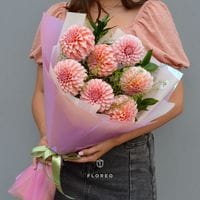 7 георгинов с зеленью в упаковке