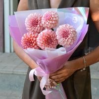 5 нежных георгинов в упаковке