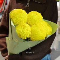 5 желтых хризантем #1348