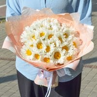 25 ромашек в упаковке #1144