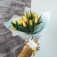 15 желтых тюльпанов #992