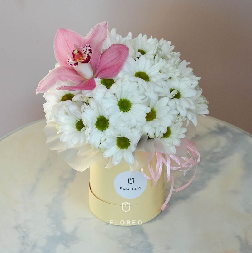 Композиция 964