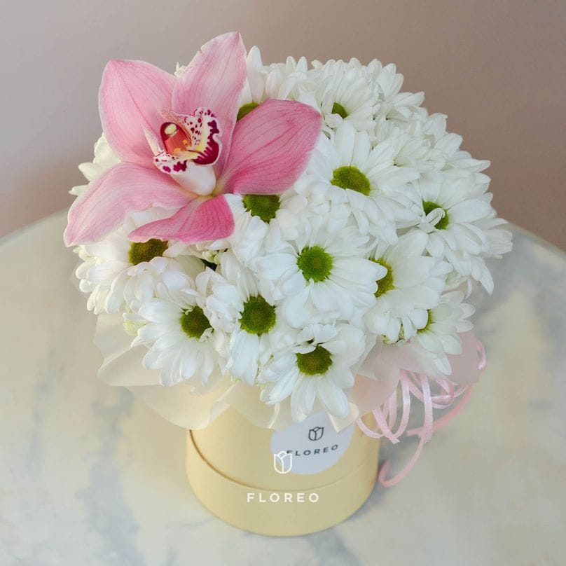 Композиция 964