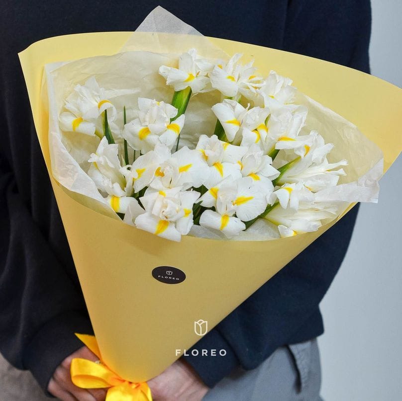 15 белых ирисов в упаковке #1038