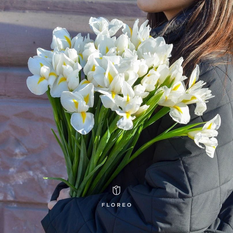 31 белый ирис