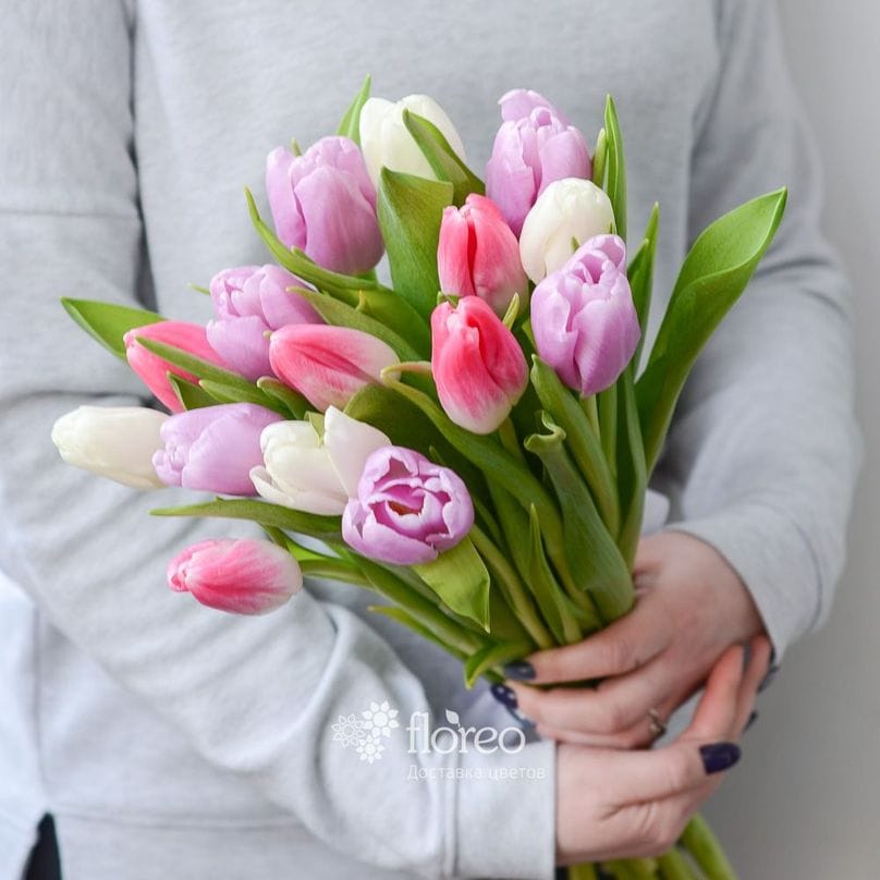 15 тюльпанов #1034