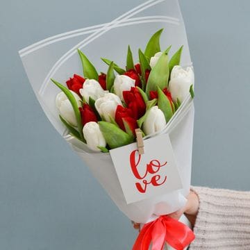 17 тюльпанов #1002