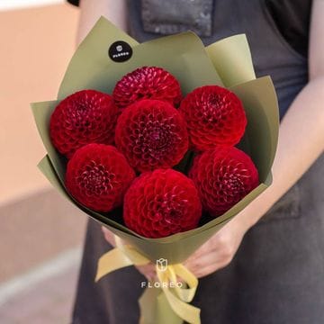 7 красных георгинов в упаковке #605