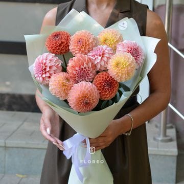 11 георгинов в упаковке #609