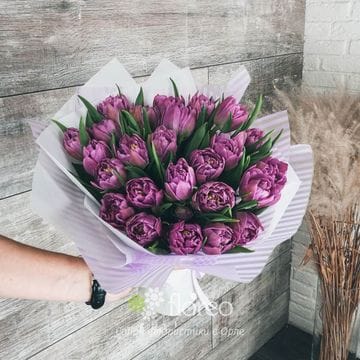 25 пионовидных тюльпанов 1013